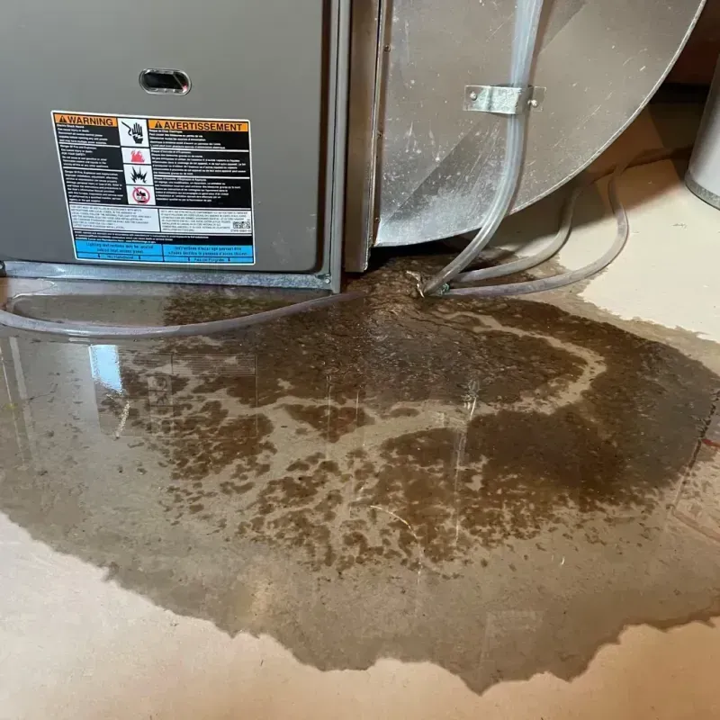 Appliance Leak Cleanup in Mission, OR